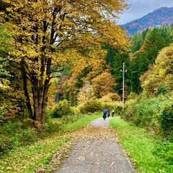 Der Herbst hat definitiv sein Stelldichein