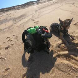 Nach'm schwimmen ging's leicht bekleidet am Strand entlang. Rucksack ist am Limit. 🤣