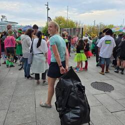 Laundry service through the carneval