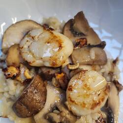 Jakobsmuscheln auf Pilzrisotto👍
