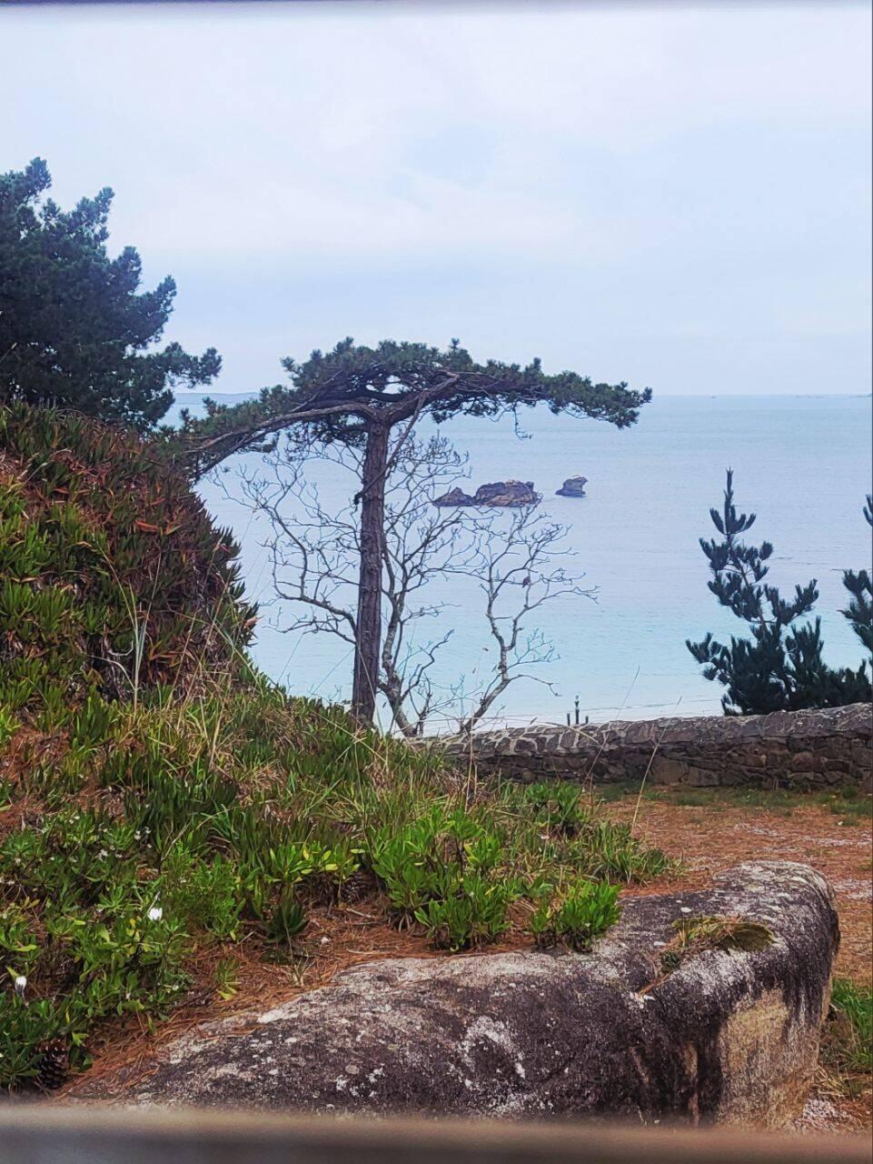 Unsere Wanderung startet heute mit schönen Aussichten auf dem Berg.