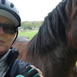 Horses are as bad at selfies as Ms Office-Body :-)