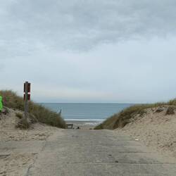 Blick zurück zum Strand "Berkenbos"