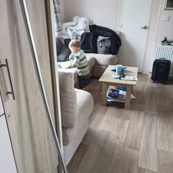 Gewusel im Ferienhaus