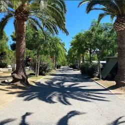 Ich liebe diese 🌴