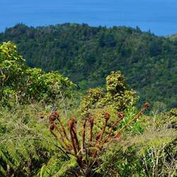 Letzter lookout vor dem Flughafen 🤣