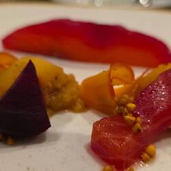 Vorspeise Fisch an Beete