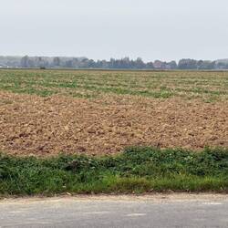 Looking along what would have been no man's land