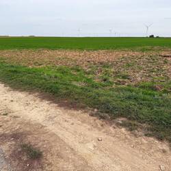 Looking along to the right of the German lines. They had the slightly higher ground