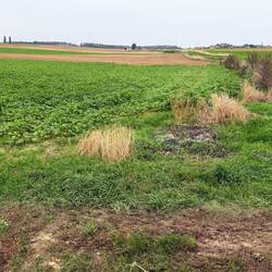 Two poplar trees are the German lines but they hold the high ground. Village of Riencourt on right