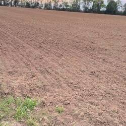 Video of Fromelles battlefield. Hard to believe what happened here