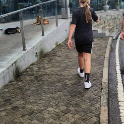 Nicht einfach für Hundeliebhaber