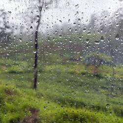 But this is what I saw through the train window. Rainy and foggy the whole way.