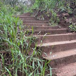 Climbing yet another mountain. They said easy to moderate hike. But I say moderate to strenuous.