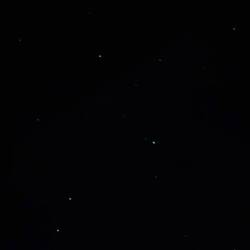 Die Glow Worms
