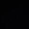Die Glow Worms