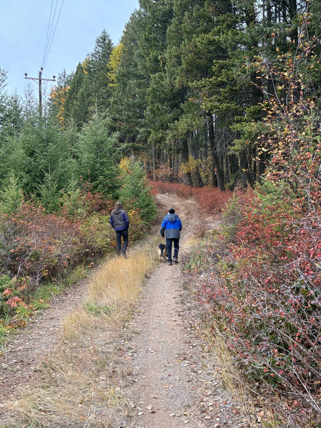 Gemeinsamer Wanderstart Richtung Crook Lake.