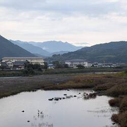 Crossing bridge at Yasuda