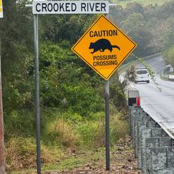 The sign must work as there was a lack of roadkill