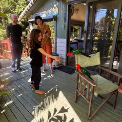 Feeding King Parrots on Kieran's balcony deck