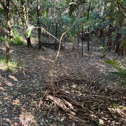 Giant nests made from weed stalks, in collaboration with local children, each with a MATE egg