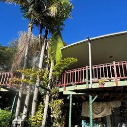 Kieran's amazing house, surrounded by rainforest and covered in his kooky ceramics.