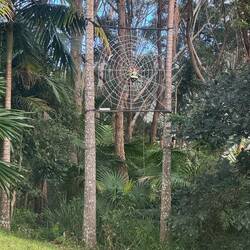 Spider in a web sculpture