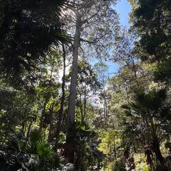 Lady Carrington's Drive - see little Lilz