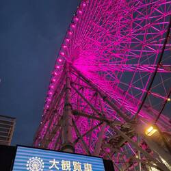 Leuchtender Abschluss der Japanreise
