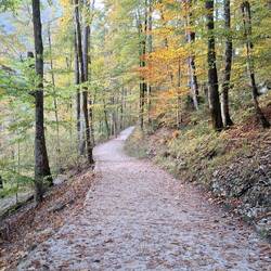 Walking at Koningsee
