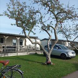 Ferienhäuschen auch zu kaufen