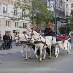 Horse & carriage no longer used in many capital cities.