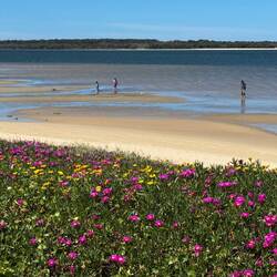 Botany Bay