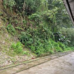 Hinweg zu Fuß im Regen