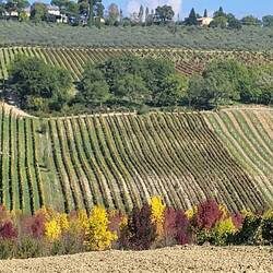 Zwischen Perugia und Montefalco.