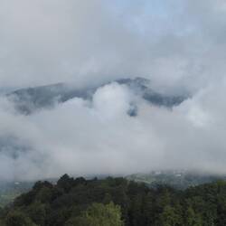 Blick aus dem Fenster