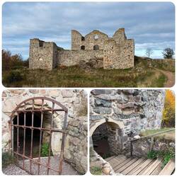 Brahehus