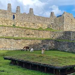 Universität im Hintergrund, Altar im Vordergrund