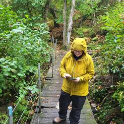 Es gibt keine bessere Alternative.