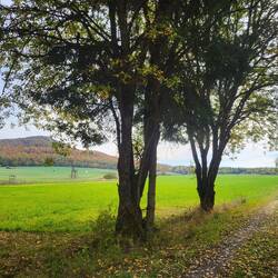 Da hinten irgendwo stehen die Räder.