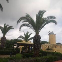 Da hinten die berühmte Windmühle