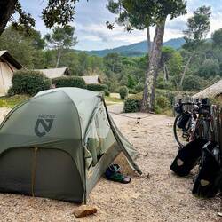 Back to the roots 🏕️