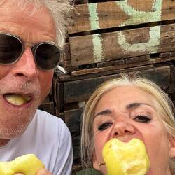 an apple a day keeps the doctor ...