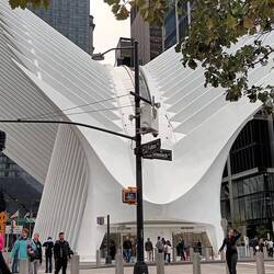 Oculus World Trade Centre Transportation hub, resembling a bird in flight