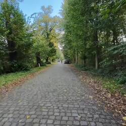 Sound on !!! Cobbles !!!!! Not sure if the rattling noise is from the bike, or from our teeth.