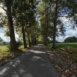 Sun !!!! Intermittent throughout the day but we basked at every opportunity.