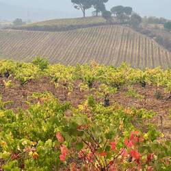 I was soaking wet, but still thought the countryside was beautiful.