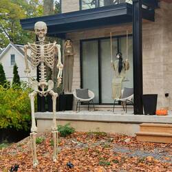 Helloweendekoration fängt an