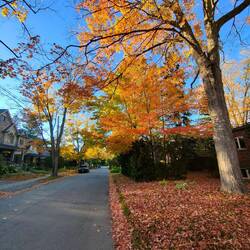 Schöne Farben zum Abschied