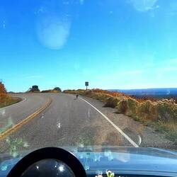 Plötzlich ein gelangweilter Koyote